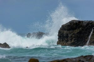 The Unseen Power: Analyzing the Impact of School Districts on Value