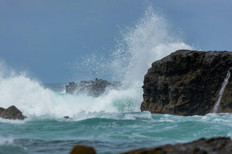 The Unseen Power: Analyzing the Impact of School Districts on Value