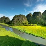 Understanding the Concept of Ethical Wildlife Tourism