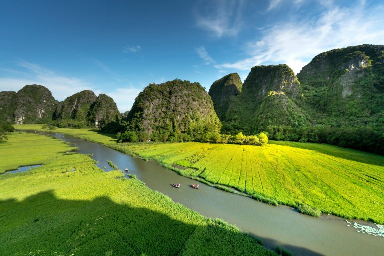 Understanding the Concept of Ethical Wildlife Tourism