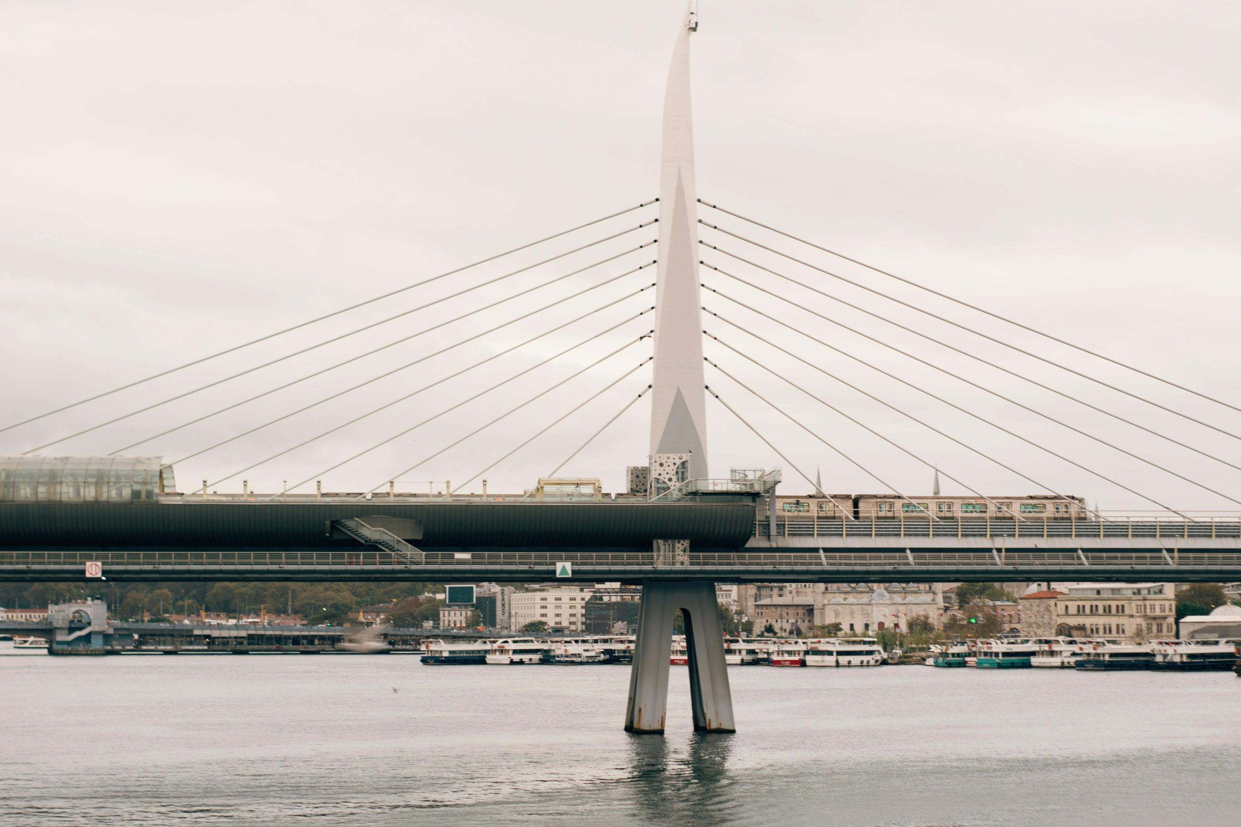 The Unexpected Connections Made with Fellow Travelers