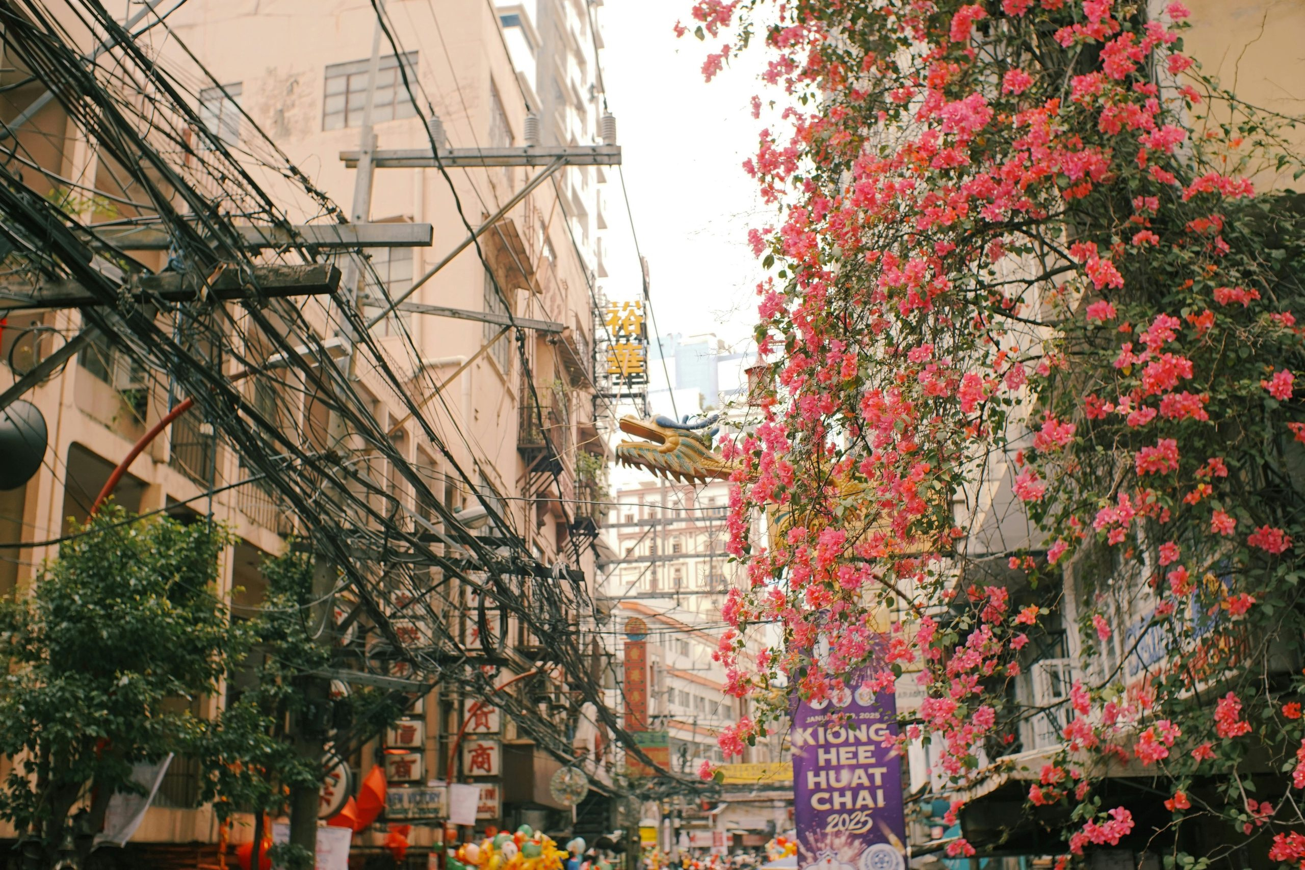 The Unexpected Discoveries Found in Local Flea Markets