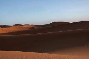 Exploring the World of Desert Landscapes and Ecology