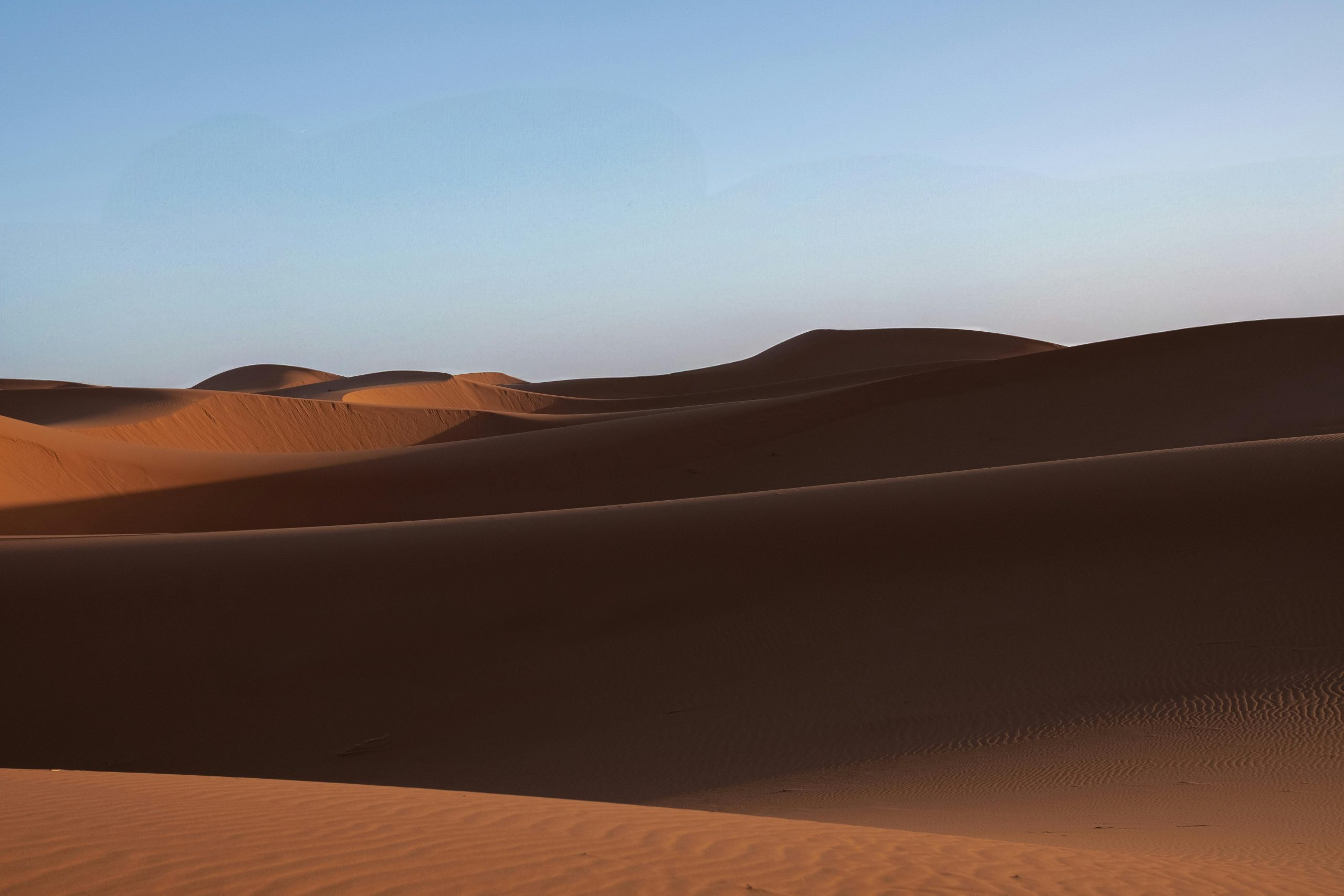 Exploring the World of Desert Landscapes and Ecology