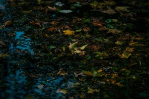 The Importance of Being Prepared for Unexpected Weather Changes