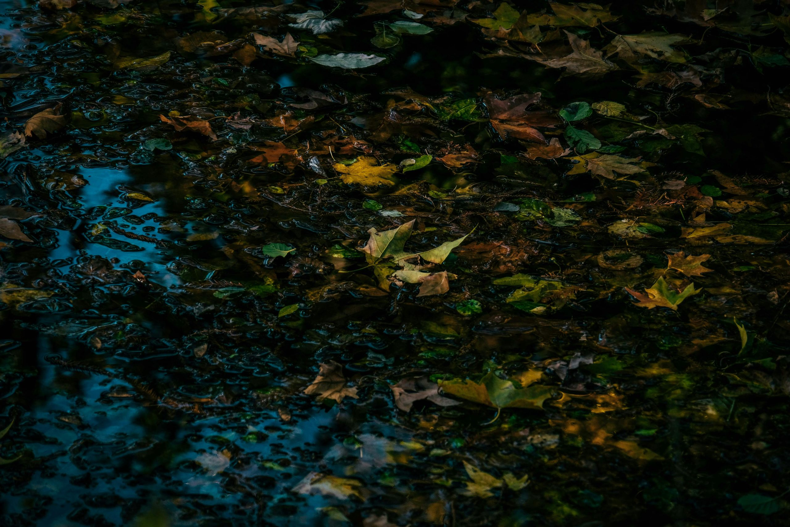 The Importance of Being Prepared for Unexpected Weather Changes