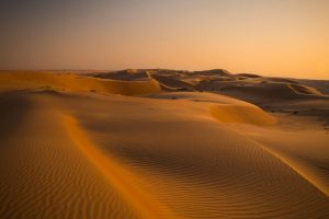 The Transformative Power of Experiencing Silence in Nature