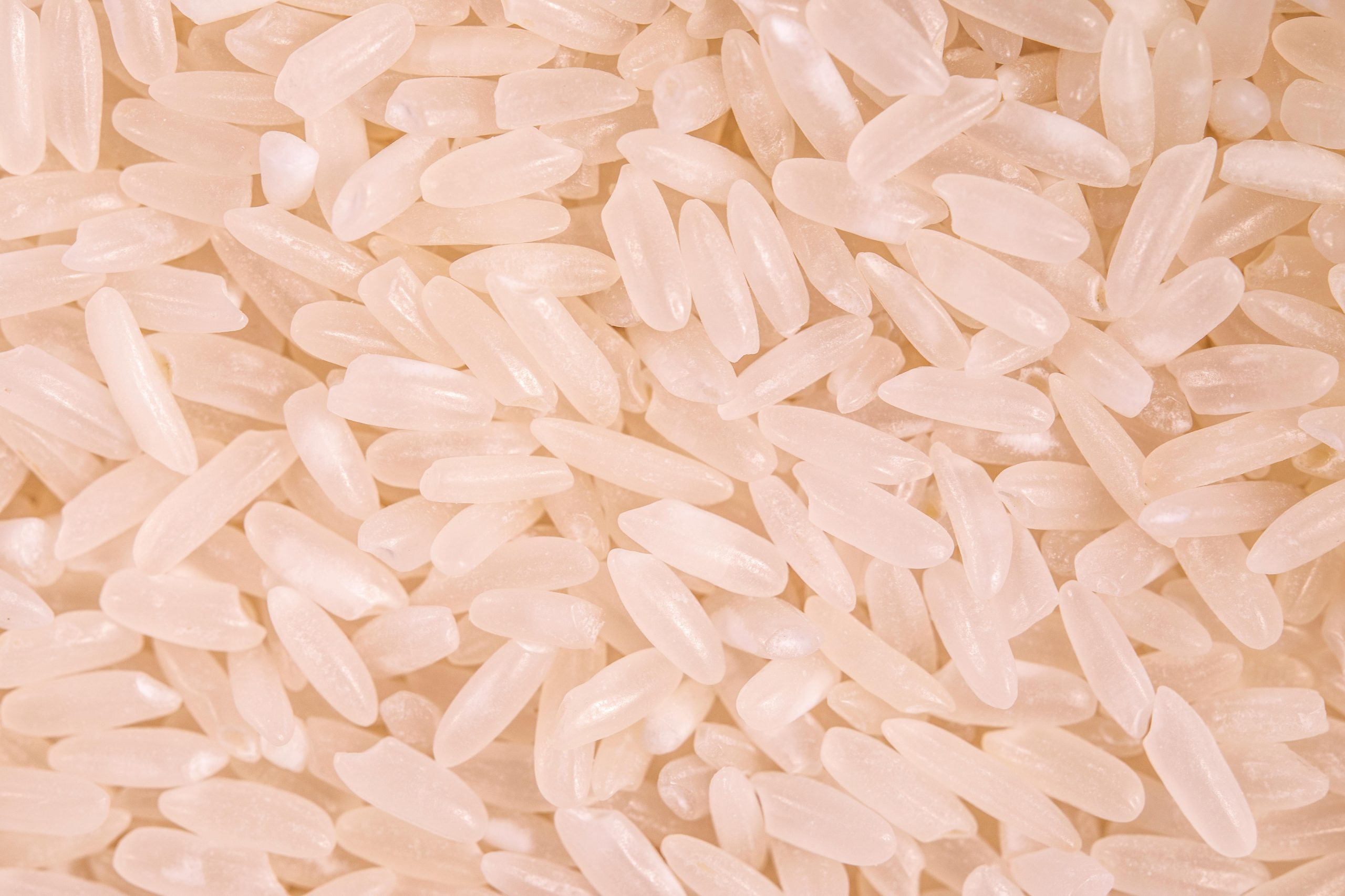 Mastering the Basics: Essential Staples Every Wardrobe Needs